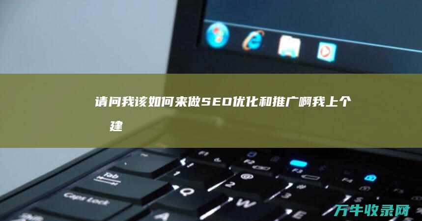 请问我该如何来做SEO优化和推广啊 我上个月建了一个网站 (请问我该如何称呼您英语)