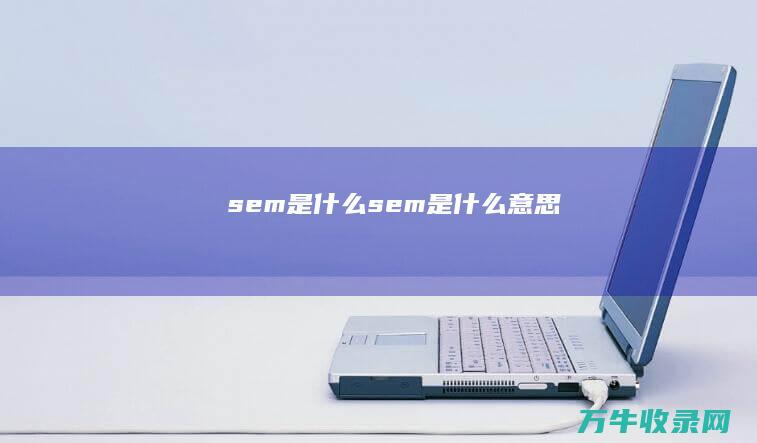 sem是什么 (sem是什么意思)