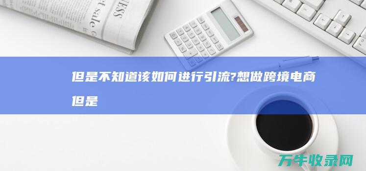 但是不知道该如何进行引流? 想做跨境电商 (但是不知道该怎么安排英语)