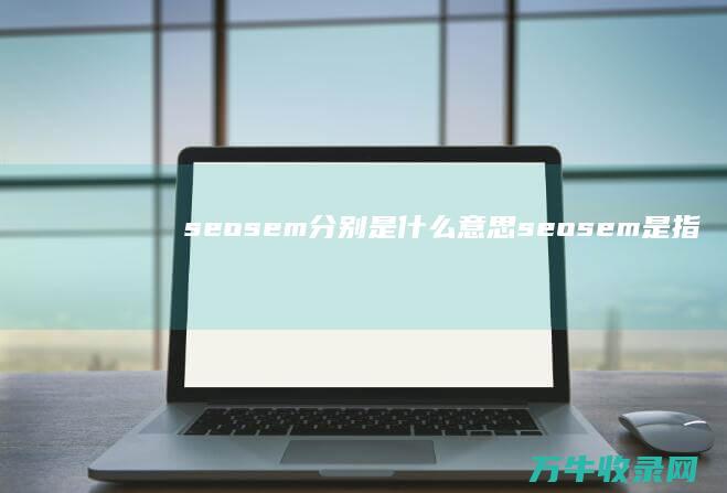 seosem分别是什么意思 (seosem是指什么意思)