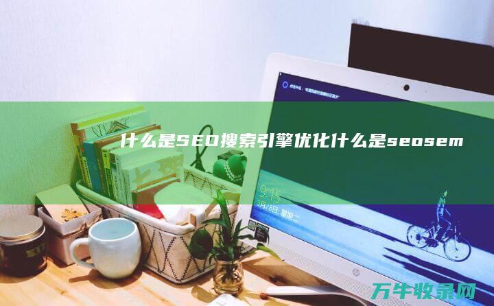 什么是SEO搜索引擎优化 (什么是seo sem)