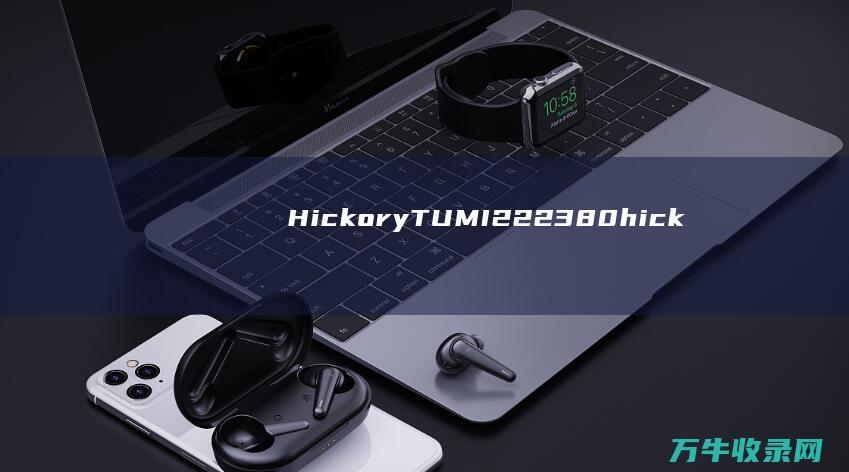 Hickory TUMI 222380 (hickory Dickory dock中文翻译)