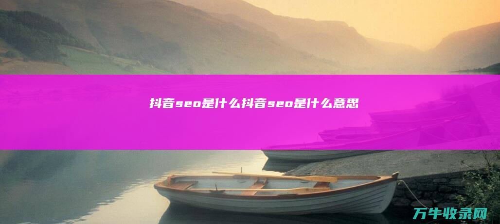 抖音seo是什么 (抖音seo是什么意思)