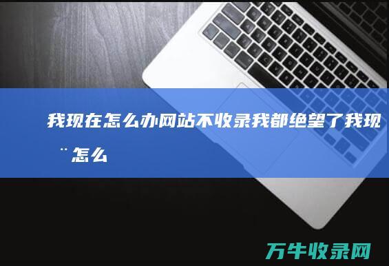 我现在怎么办网站不收录 我都绝望了 (我现在怎么办好迷茫)