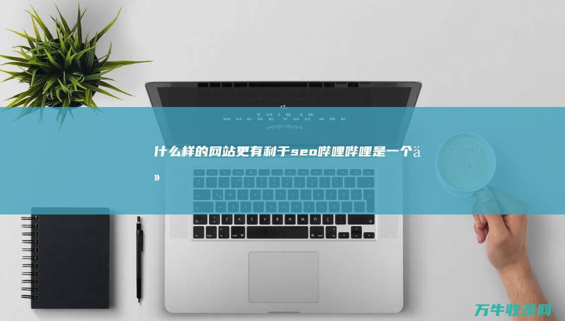 什么样的网站更有利于seo (哔哩哔哩是一个什么样的网站)